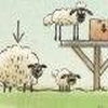 Home_Sheep_Home