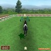 Show_Jumping